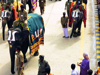 Crowd During Bramhostavam