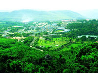 Tirupati Town View